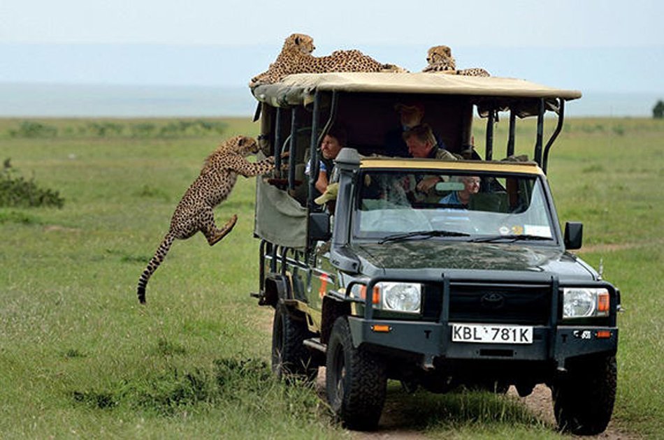 4-Day Serengeti, Ngorongoro & Tarangire Safari gallery