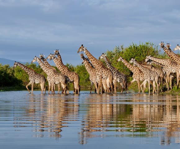 2-Day Selous Safari & Maasai Cultural Experience gallery