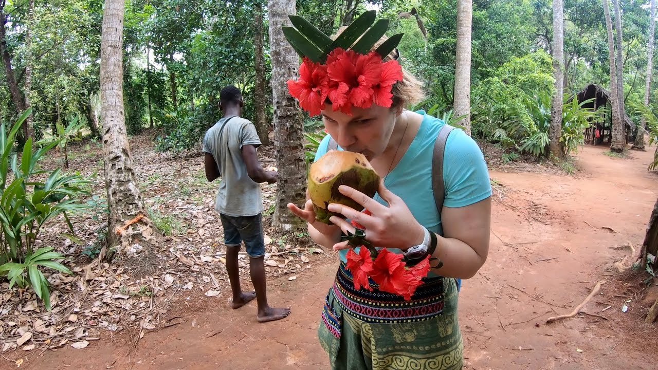Jozani Forest & Spice Farm Experience gallery