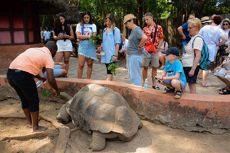 Stone Town, Prison Island & Nakupenda Beach Experience gallery